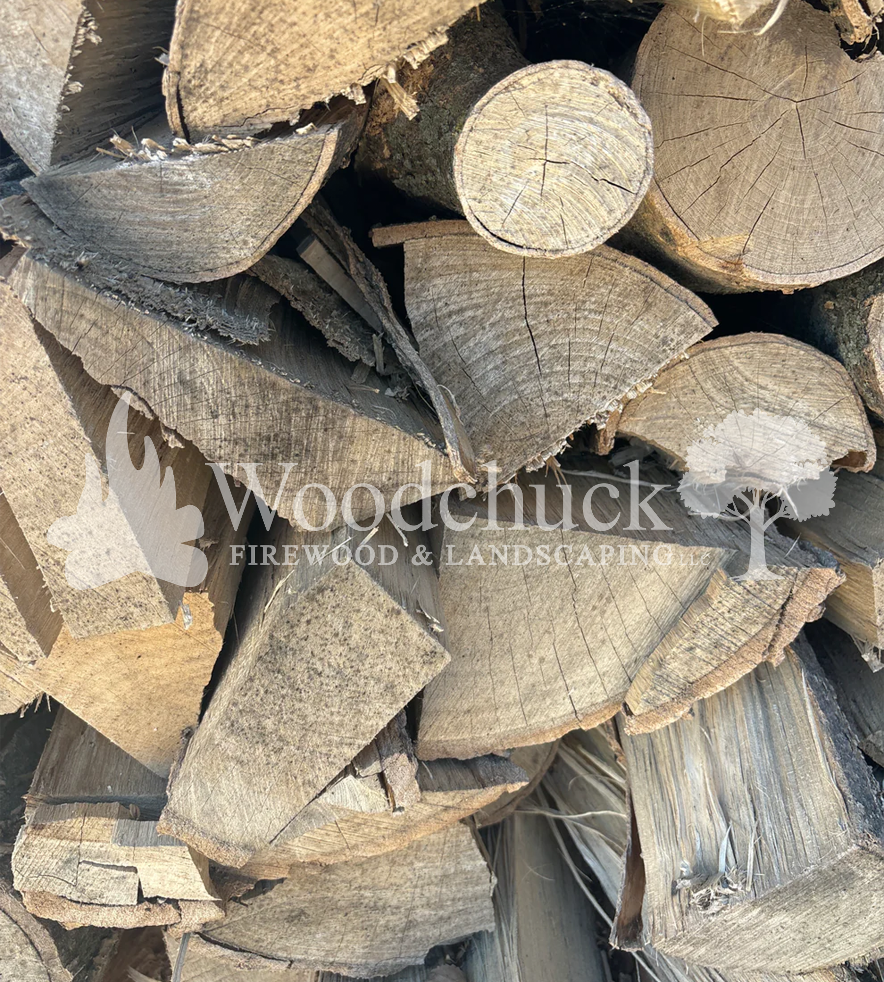 https://cdn.shopify.com/s/files/1/0974/7026/files/2D44E31B-C010-4341-AACA-9BDD11B65BD8.png?v=1744855322