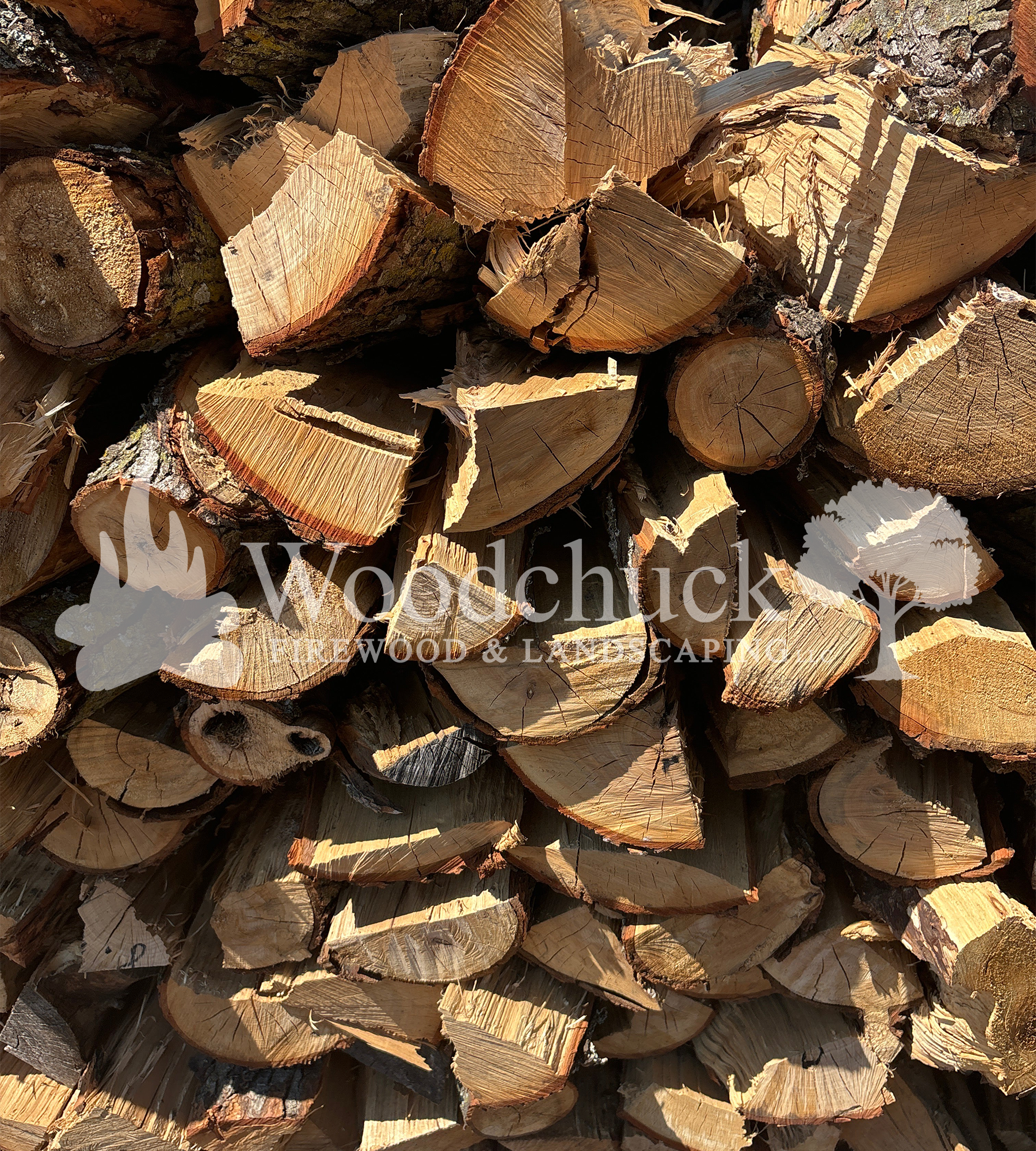 https://cdn.shopify.com/s/files/1/0974/7026/files/3962E0D5-F9EE-47ED-A0B1-6423FC43235A-wm.png?v=1744855648