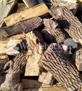 https://cdn.shopify.com/s/files/1/0974/7026/files/Ash.png?v=1744853820
