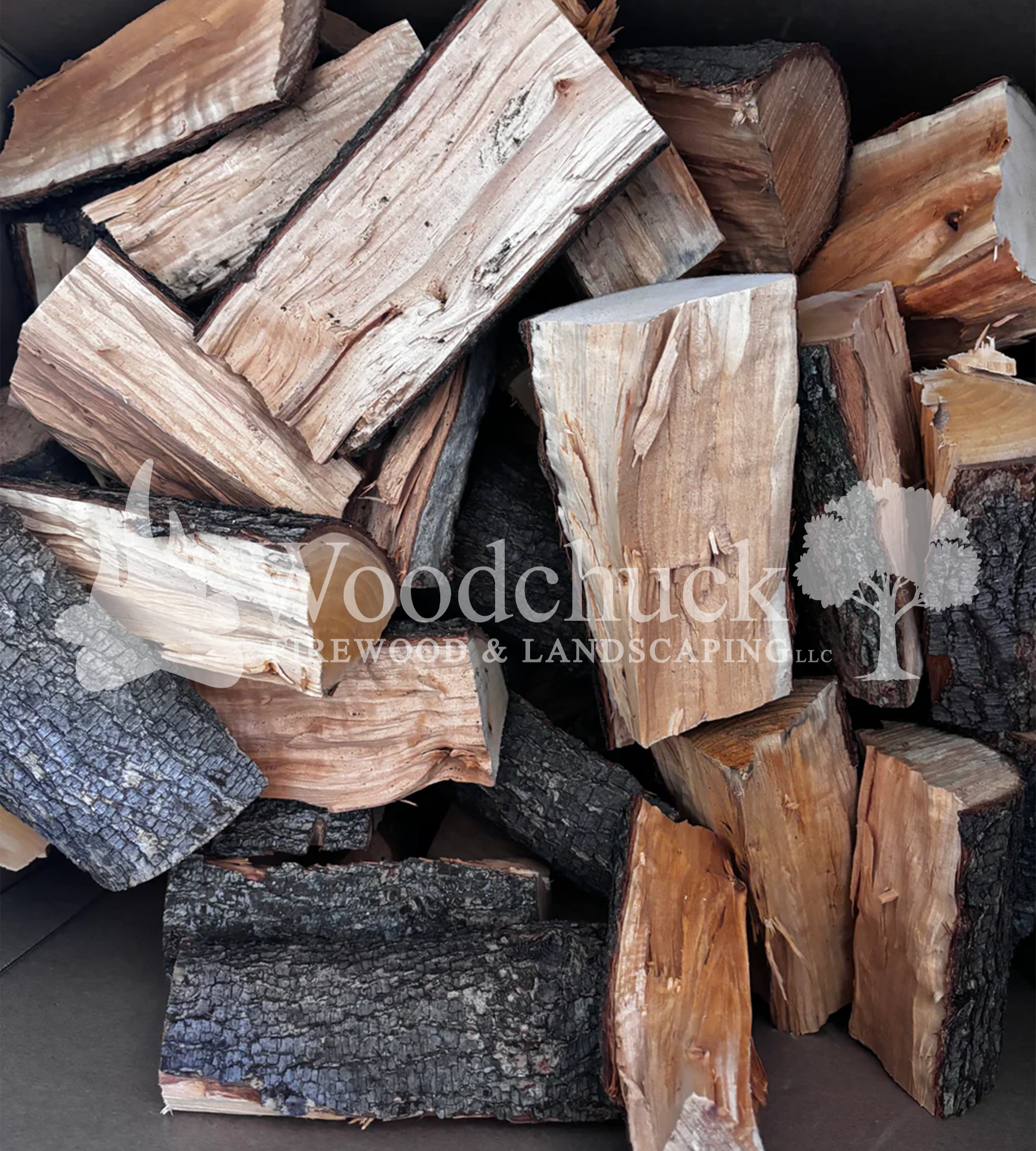 https://cdn.shopify.com/s/files/1/0974/7026/files/IMG-2277.png?v=1744854963