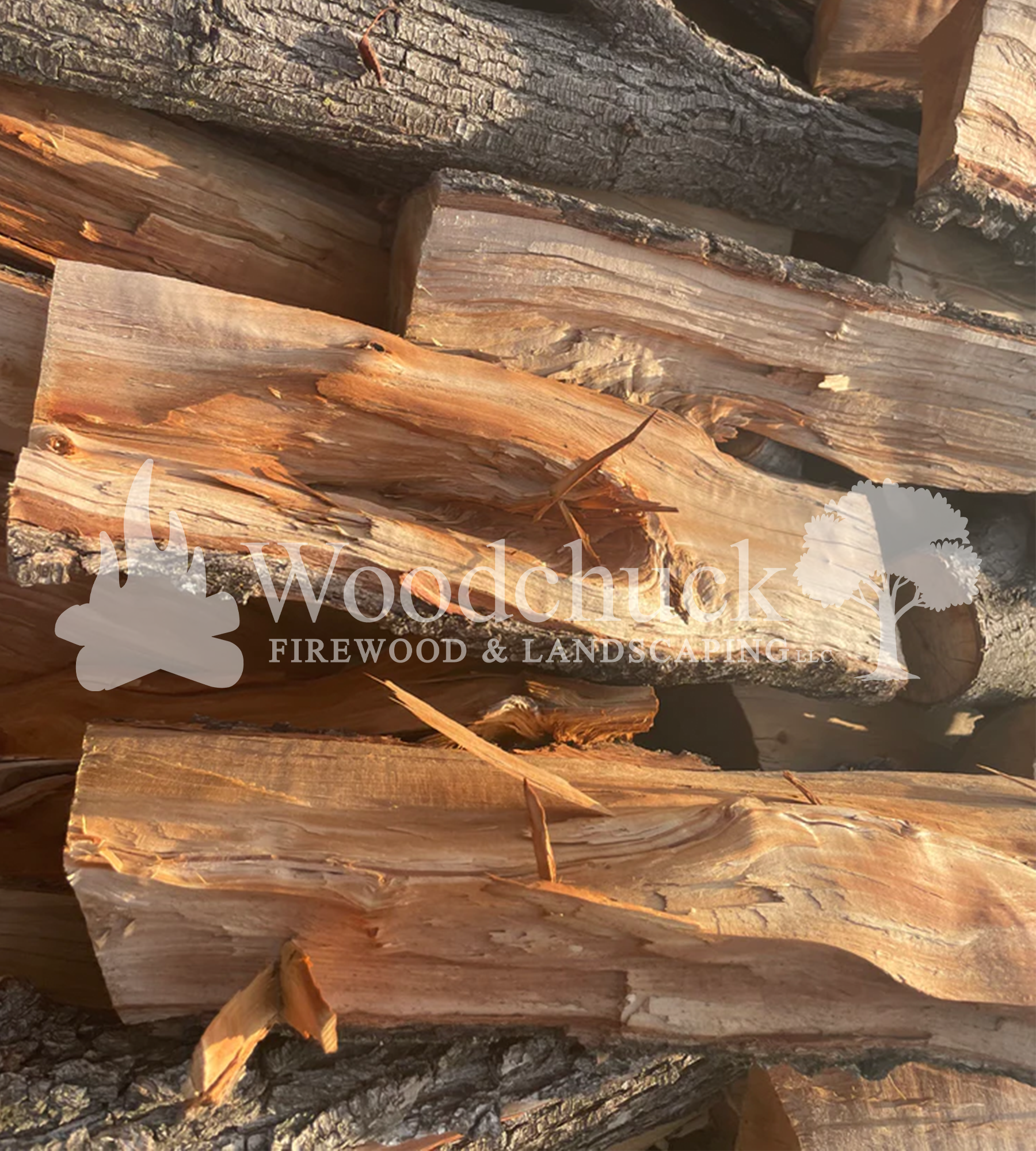 https://cdn.shopify.com/s/files/1/0974/7026/files/IMG-3404.png?v=1744855936