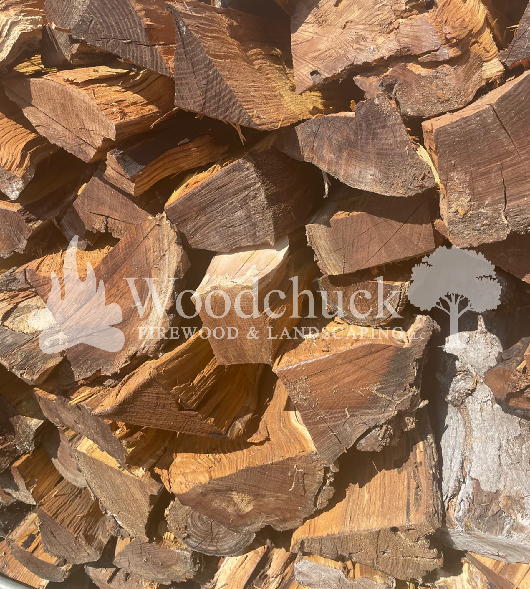https://cdn.shopify.com/s/files/1/0974/7026/files/IMG-3412.png?v=1744855953