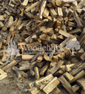 https://cdn.shopify.com/s/files/1/0974/7026/files/Oak_Logs.png?v=1744853318