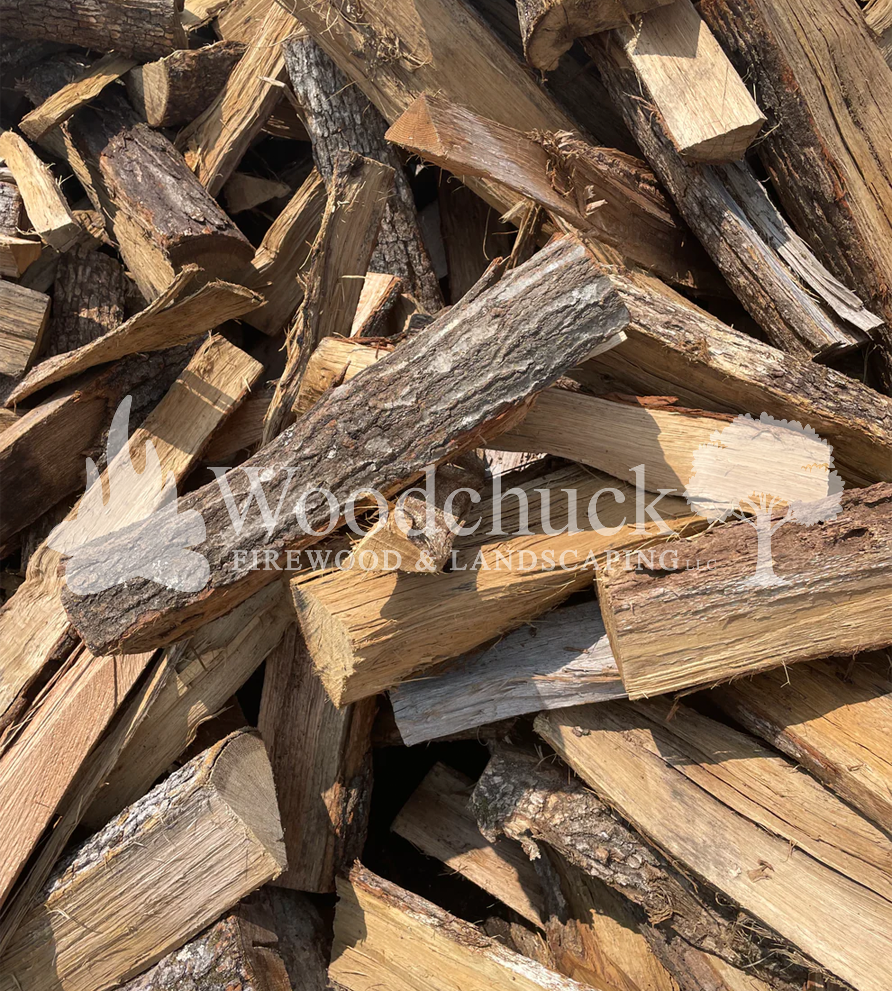 https://cdn.shopify.com/s/files/1/0974/7026/files/image_67b852a0-1a80-4620-ad10-e47d9d6b299a.png?v=1744854678
