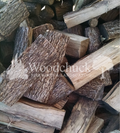 https://cdn.shopify.com/s/files/1/0974/7026/files/pecan-wm.png?v=1744854082