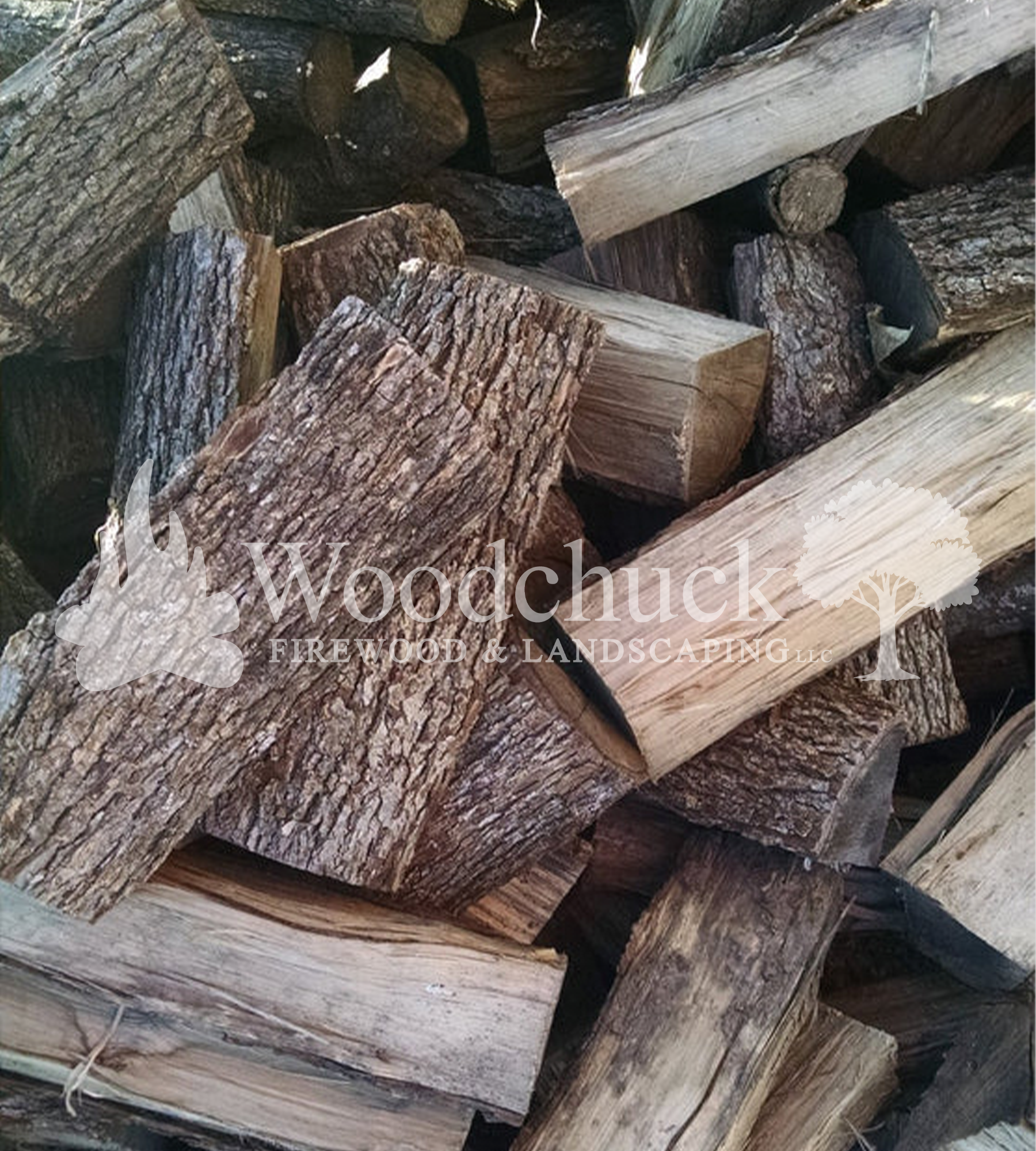 https://cdn.shopify.com/s/files/1/0974/7026/files/pecan-wm.png?v=1744854082
